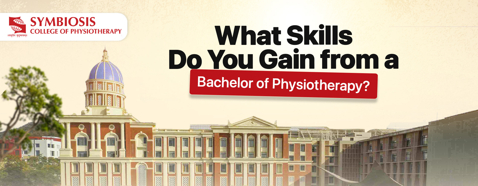 What Skills Do You Gain from a Bachelor of Physiotherapy?
